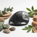 Ergo-Flow Pro souris ergonomique design premium sur fond blanc avec éléments naturels